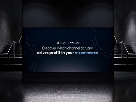 Coupler.io design presentation 3